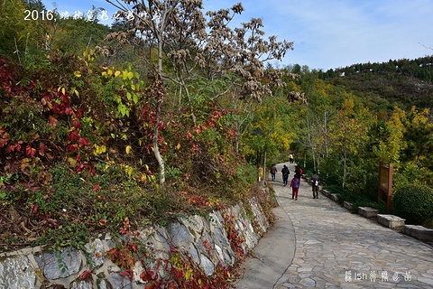 北宫国家森林公园(Beigong National Forest Park)