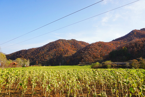北京喇叭沟原始森林公园(Labagoumen National Forest Park)