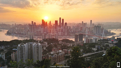 南山一棵树观景台(Nanshan Tree Viewing Platform)