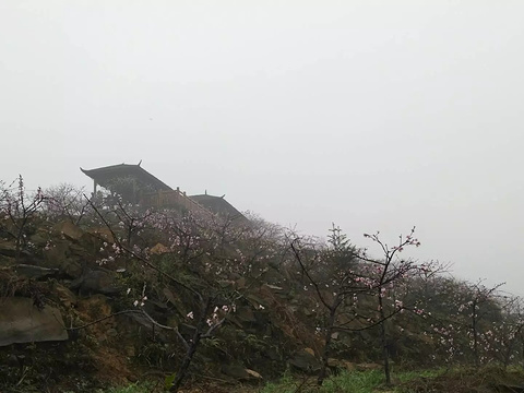 虎峰山(Chongqing Hufeng Mountain)
