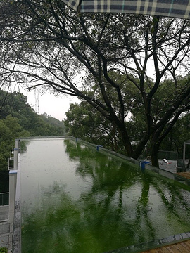 黄桷古道(Huangjue Ancient Path)