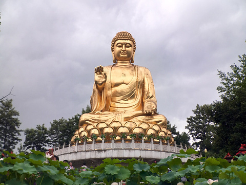 华岩寺(Huayan Temple)