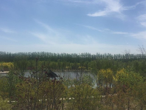 津北森林公园(Jinbei Forest Park)