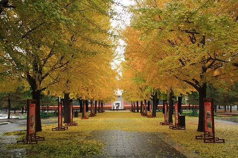 中山公园(Zhongshan Park)