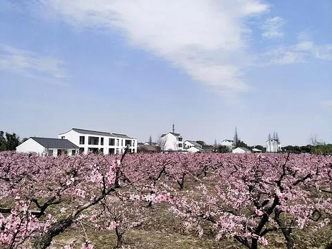 吴房村(Wufang Village)