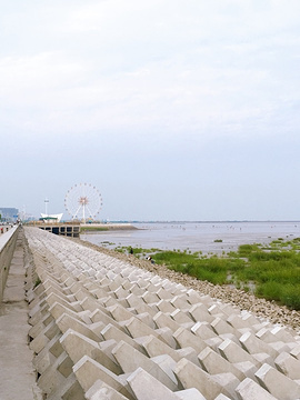 奉新海滩(Fengxin Beach)