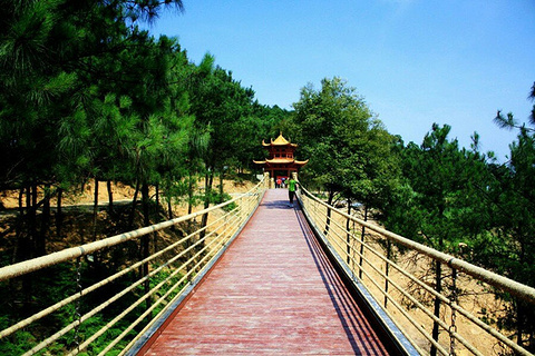 铁山坪森林公园(Tieshanping Forest Park)