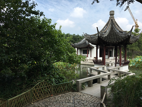 古猗园(Guyi Garden)