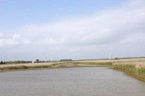 东滩湿地公园(Dongtan Wetland Park)