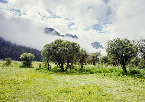巫山十二峰(Twelve Peaks of Wushan Mountain)