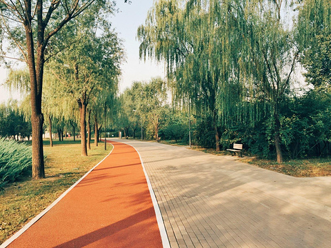 朝阳公园(Chaoyang Park)